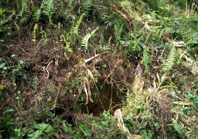 G:\VILLAGE REPORT PICTURES\mawker latest\WhatsApp Image 2023-02-06 at 13.04.43 (1).jpeg